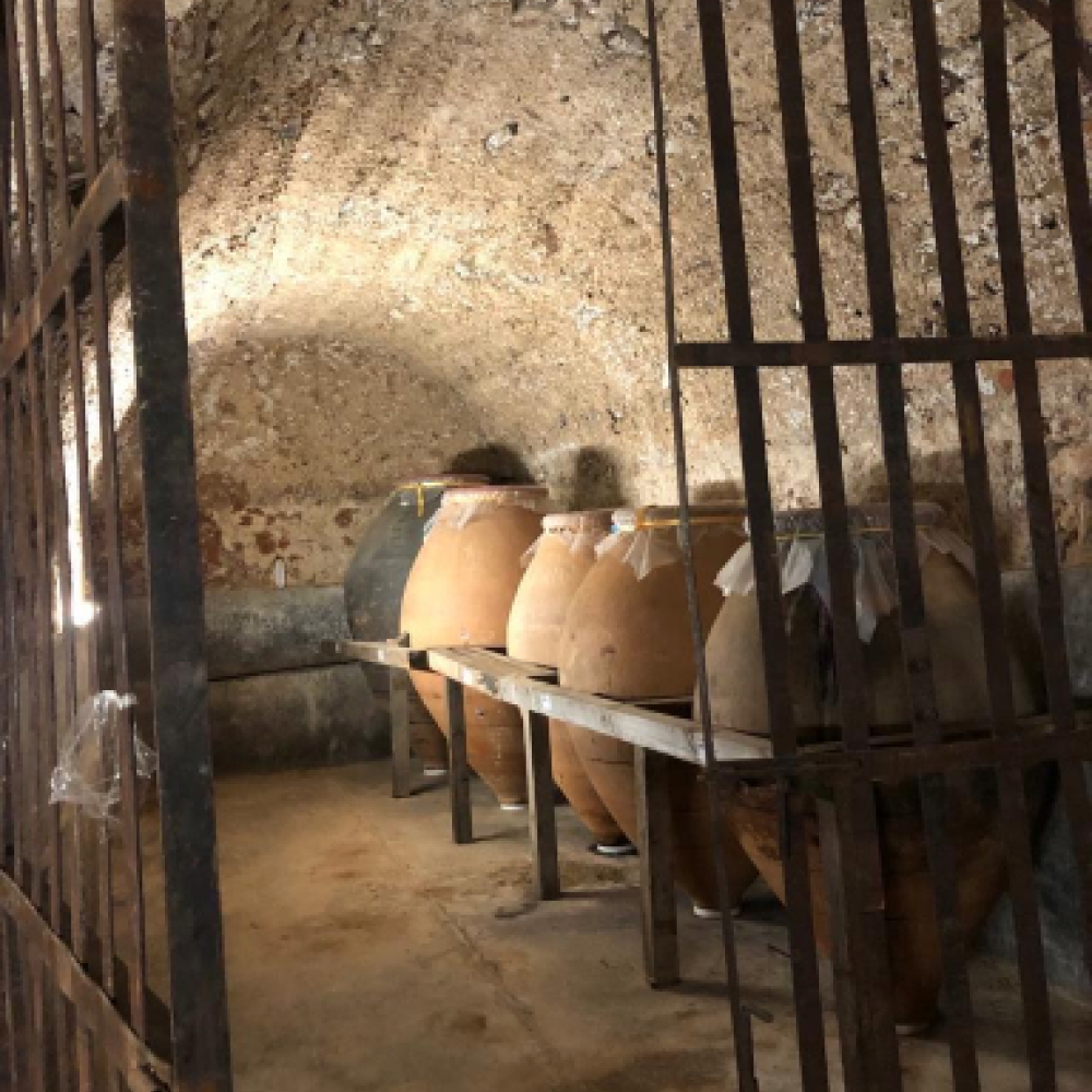 Mød José fra Libre y Salvaje