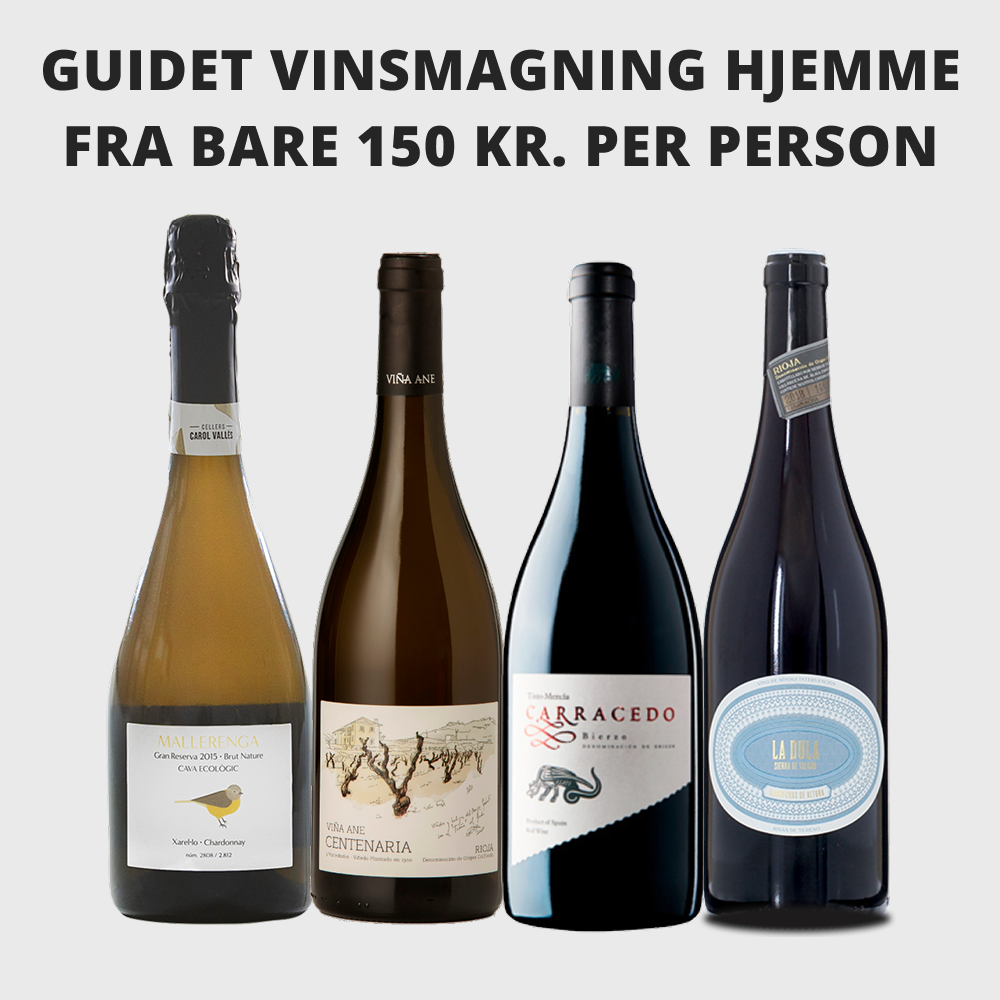 Hjemme-vinsmagning: Camino del JAMAS - Digital Version - Essentials 1