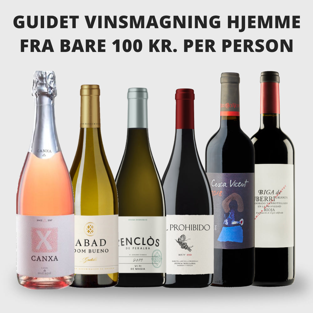 Hjemme-vinsmagning: Camino del JAMAS Vol. 2.0