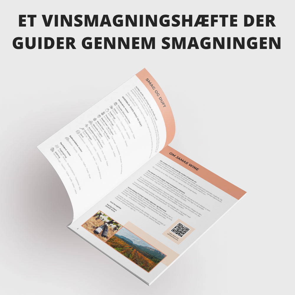 Hjemme-vinsmagning: Camino del JAMAS Vol. 2.0