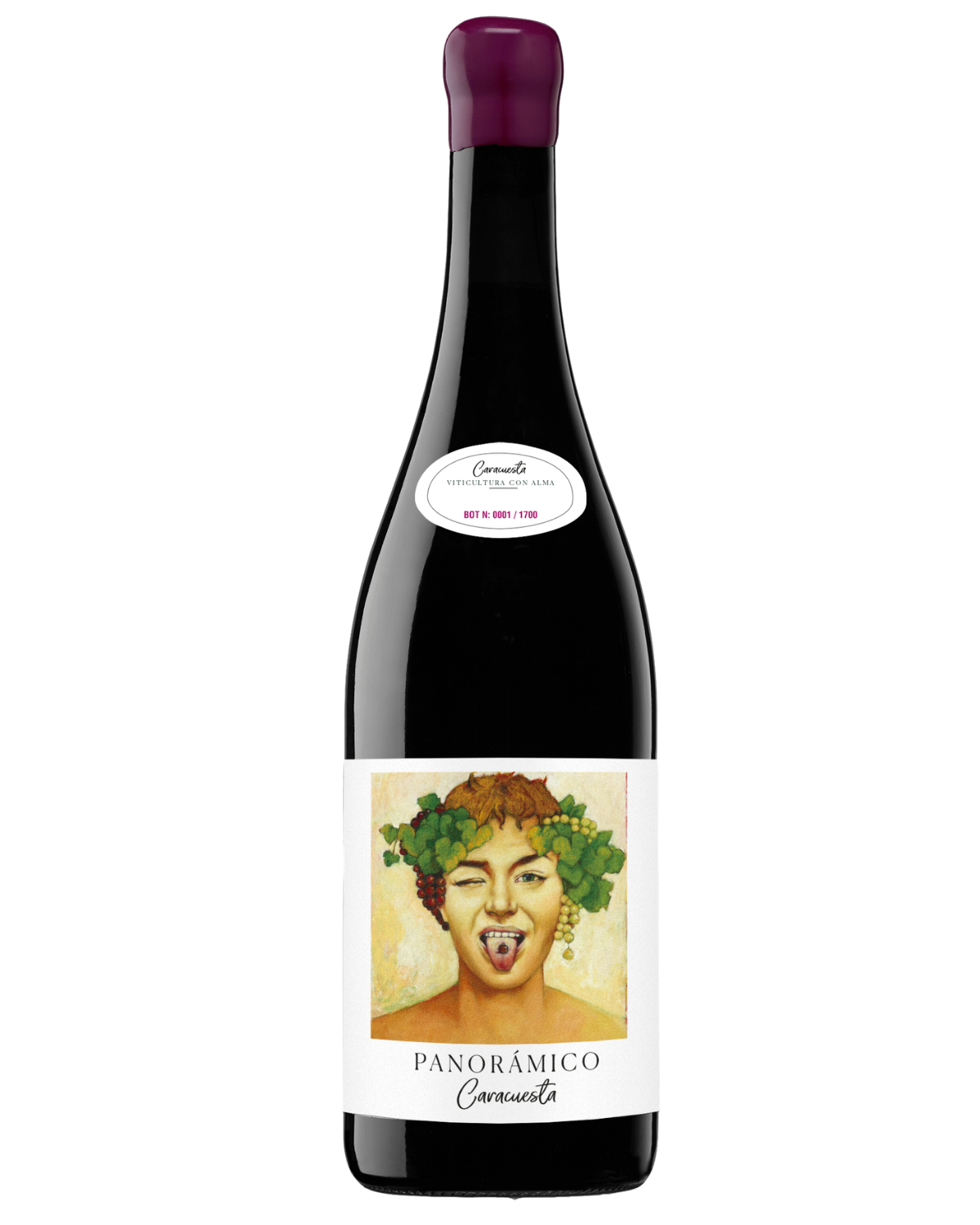 SAMKØB VIN #3: Panorámico - Caracuesta 2019