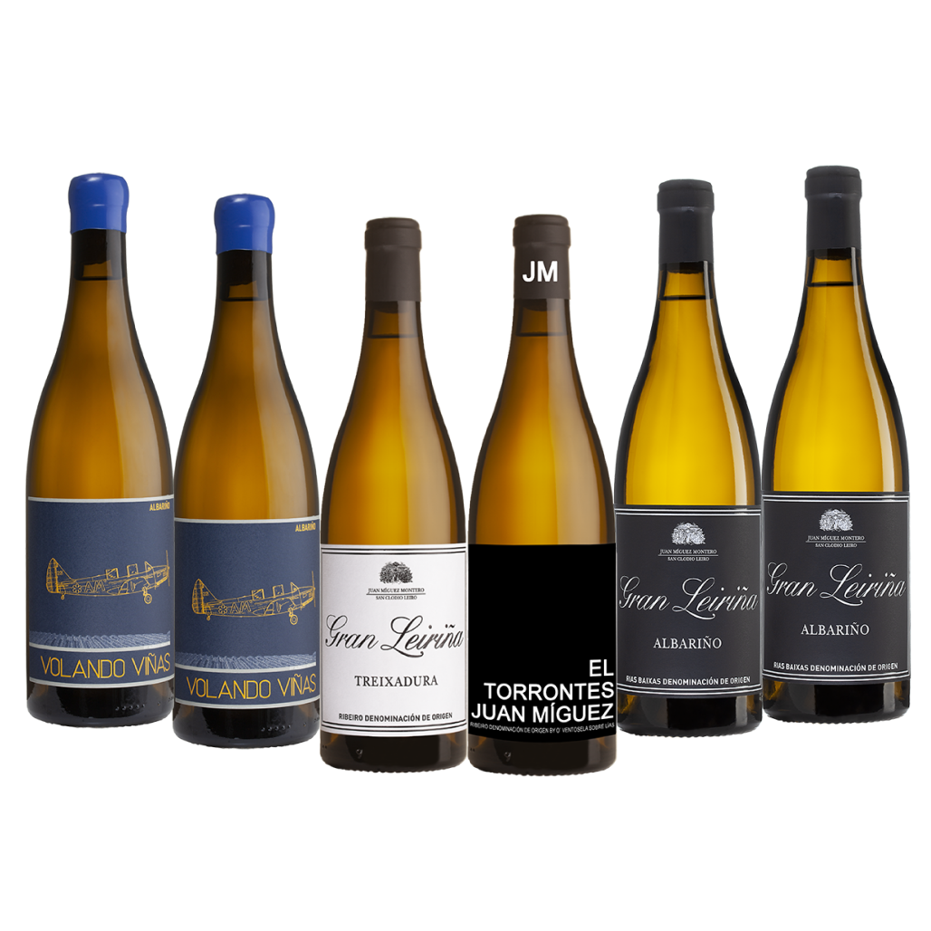 SAMKØB VIN 5: Rundt om Bodegas O'Ventosela