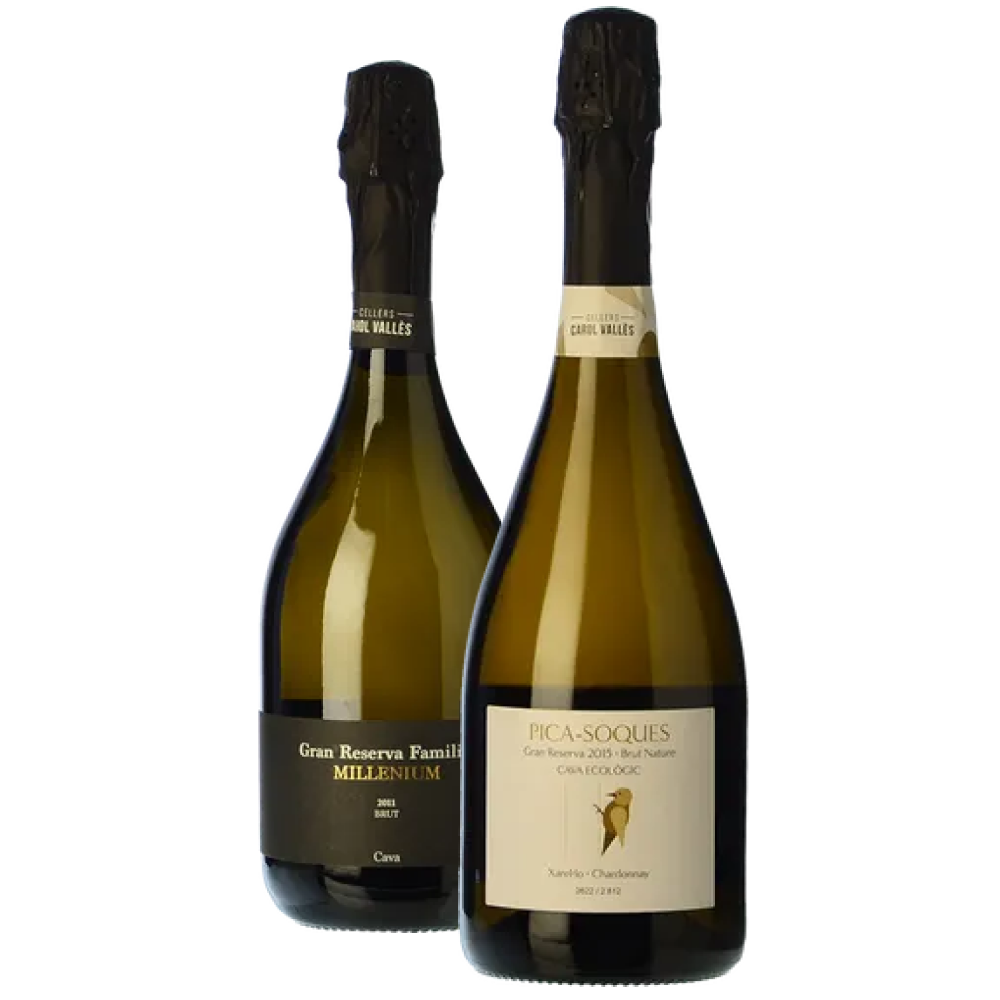 Carol Valles, Spanien