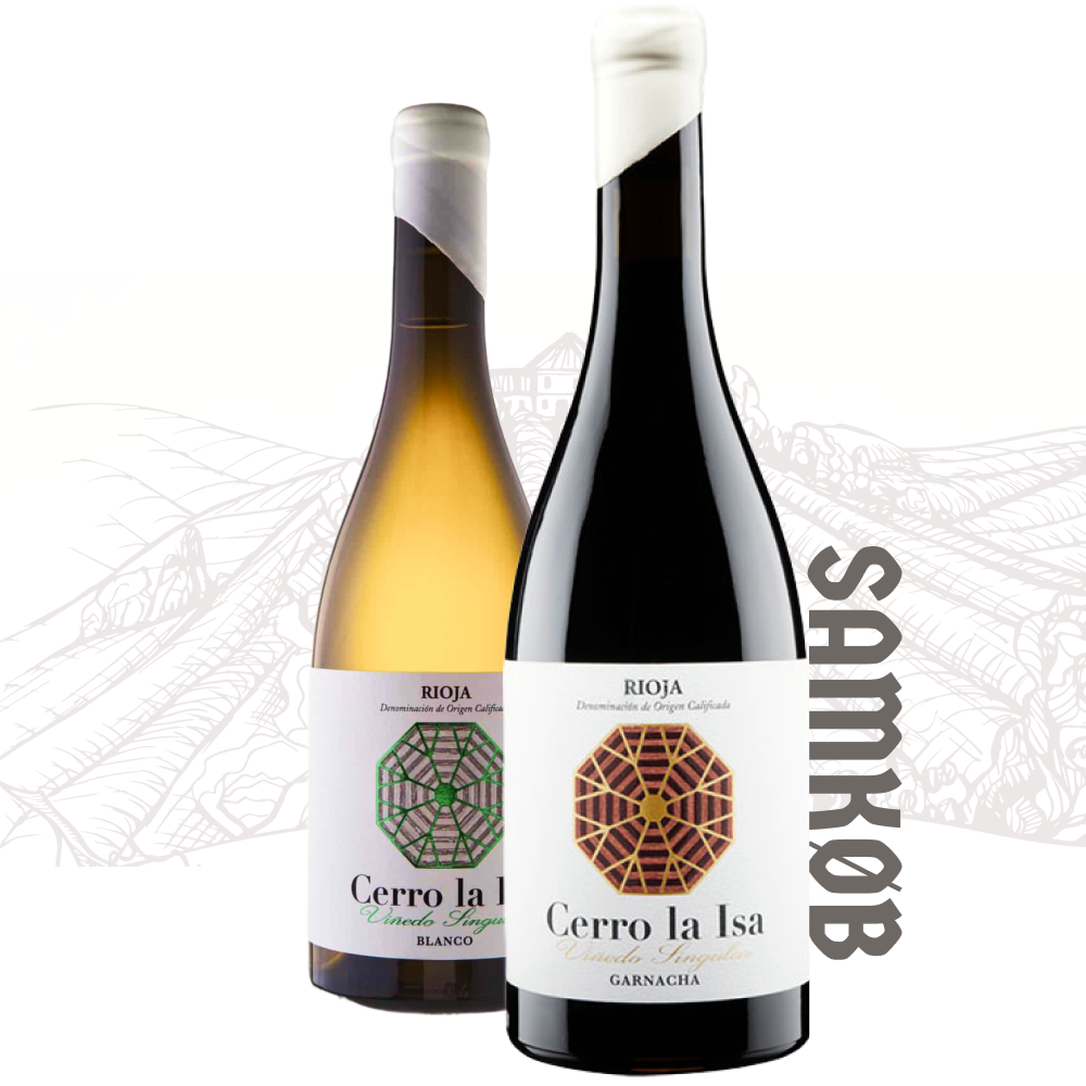 Juan Carlos Sancha, Spanien