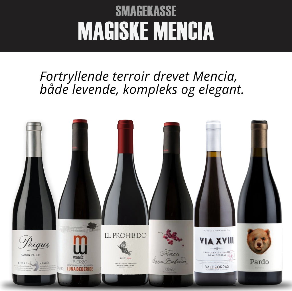 OPLEV MAGISKE MENCIA SMAGEKASSE