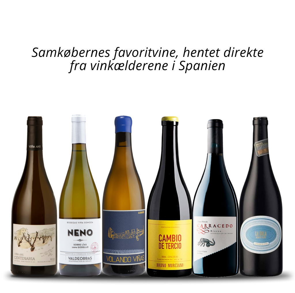 #Smagekasse: Samkøbsfavoritter 2023