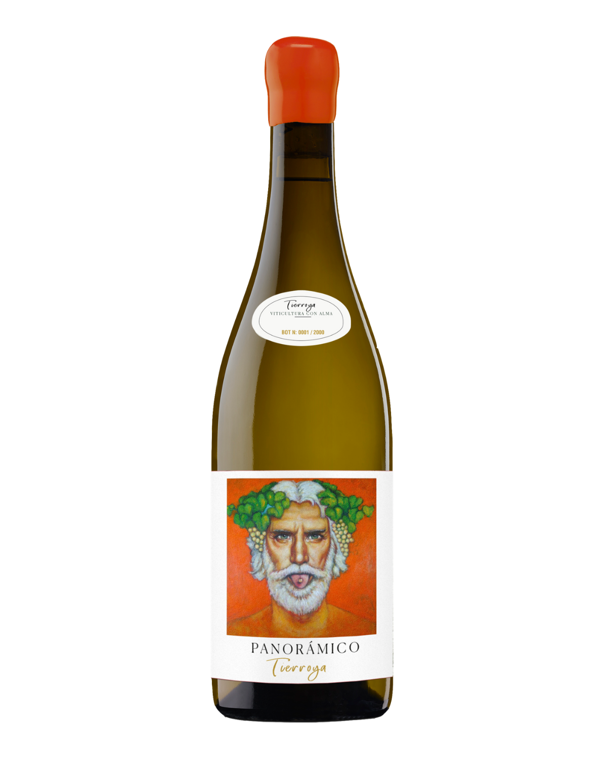 SAMKØB VIN #4: Panorámico - Tierroya 2019