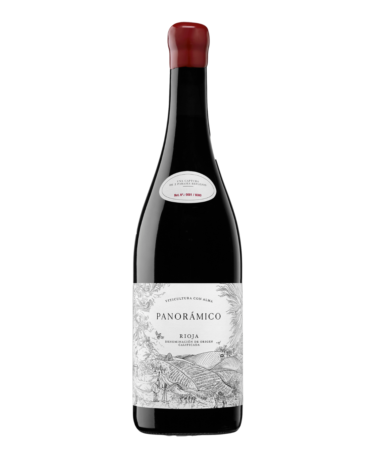 SAMKØB VIN #2: Panorámico - Tinto 2020