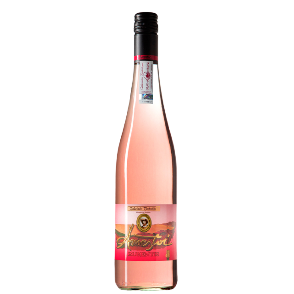 Txakoli Ametzoi - Rubentis Ameztoi 2024