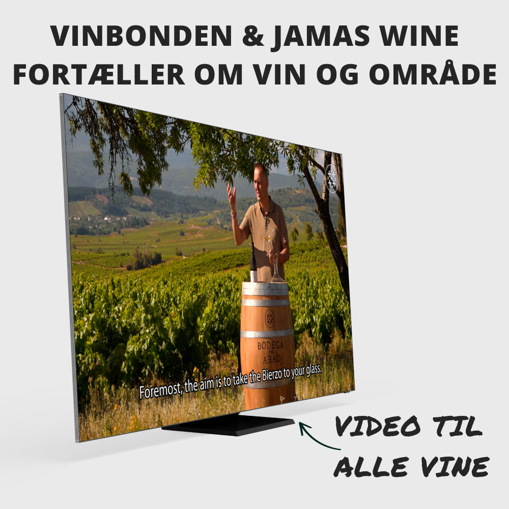 Hjemme-vinsmagning: Camino del JAMAS Vol. 2.0