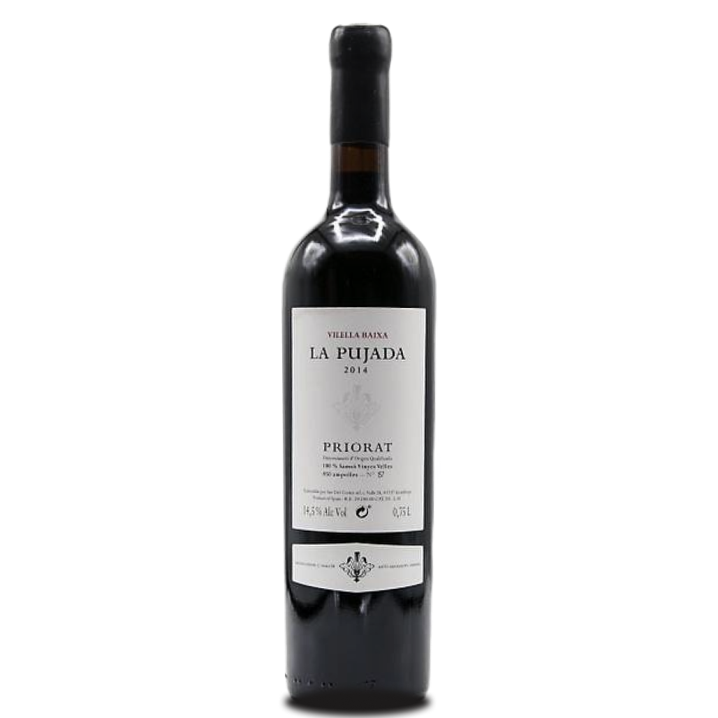 SAO DEL COSTER - LA PUJADA 2015