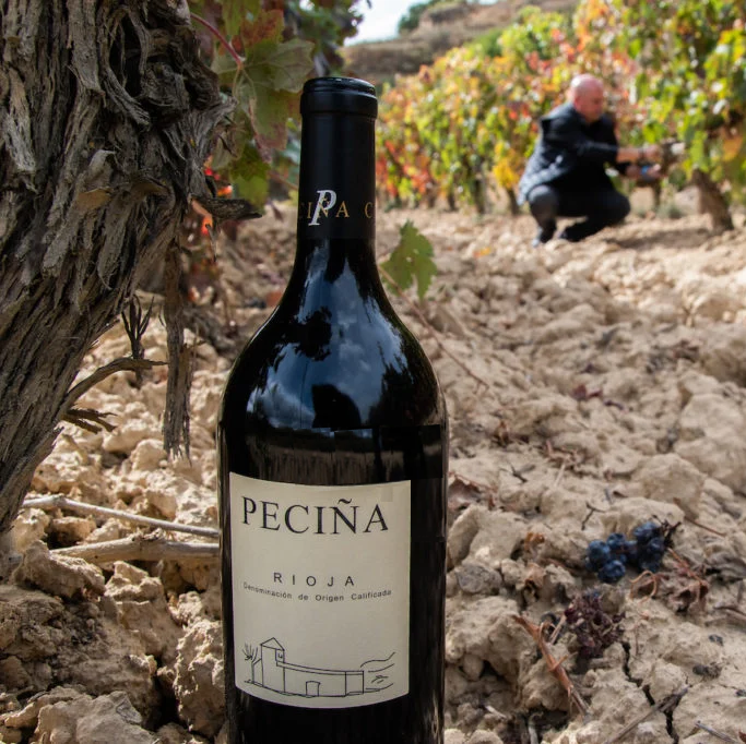 SAMKØB VIN 10: Bodegas Peciña - Tinto Vendimia Seleccionada 2001 (Magnum)